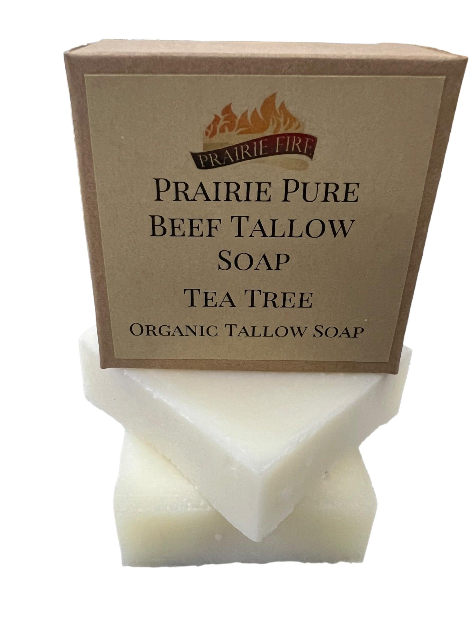 Grass Fed Tallow Soap Bar 3 Pack Fragrance Free Sensitive