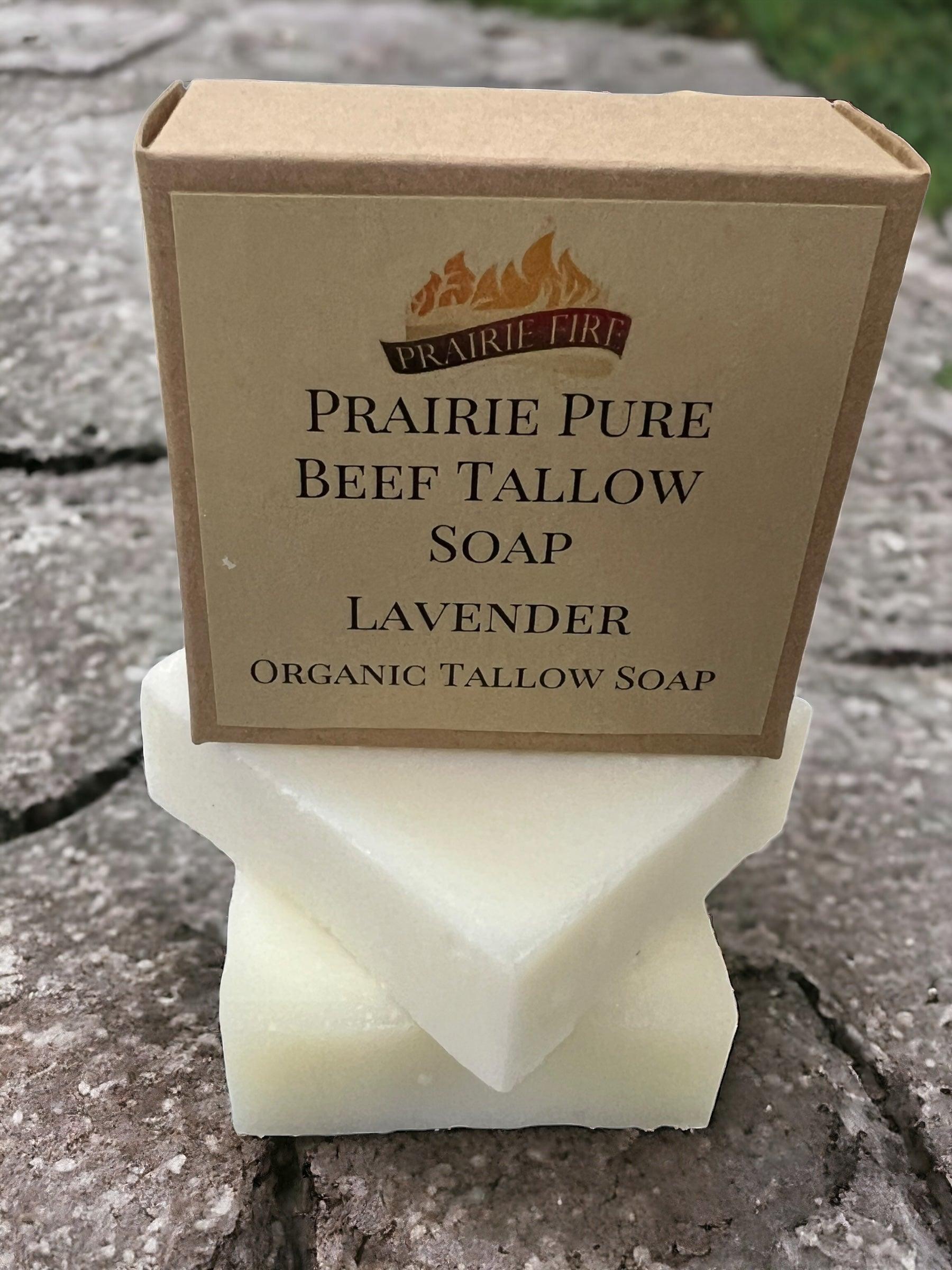 Grass Fed Tallow Soap Bar 3 Pack Fragrance Free Sensitive