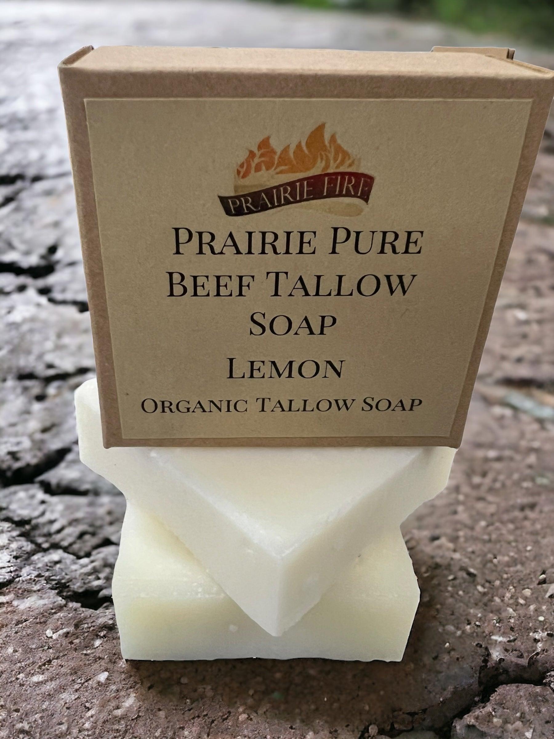 Grass Fed Tallow Soap Bar 3 Pack Fragrance Free Sensitive
