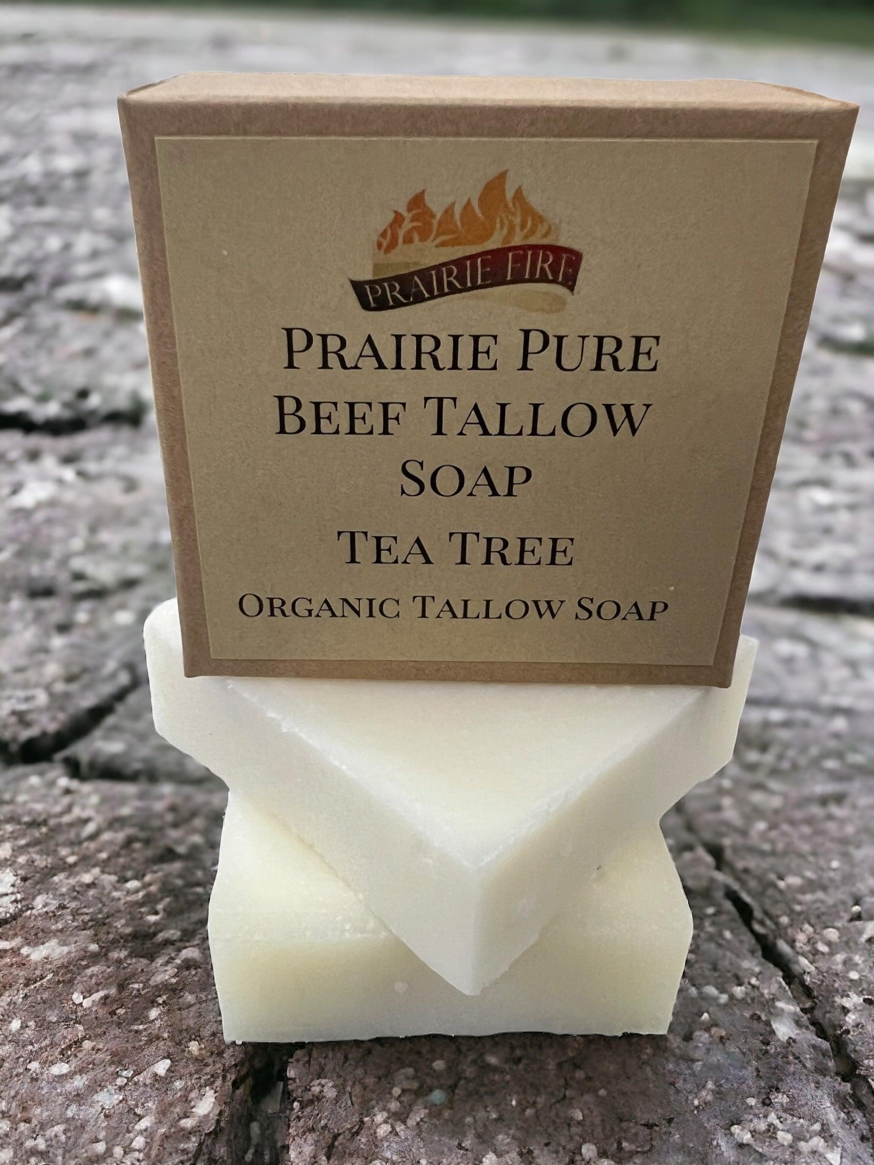 Grass Fed Tallow Soap Bar 3 Pack Fragrance Free Sensitive